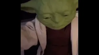 Yoda, do you support racism?