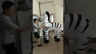 2 persons wear zebra mascot costume