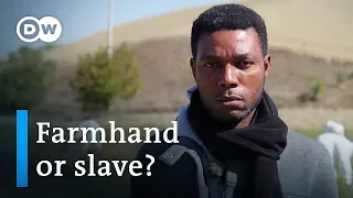 Slaves in Italy? | DW Documentary