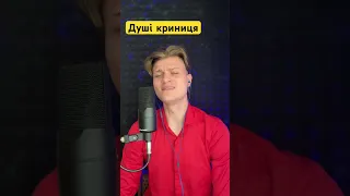 Загорулько Віталій - Душі криниця Cover