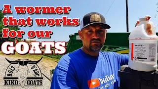 Goat Wormer | Prohibit Wormer | Worms in Goats | Goat Video