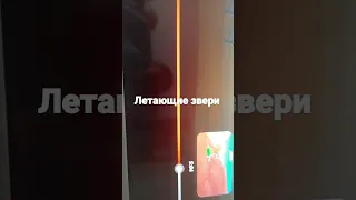 Летающие звери