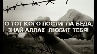 О тот кого постигла беда, знай Аллах  любит тебя!(До слез)