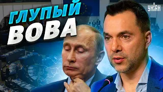 Арестович: Запад говорит Путину: не надо! Но Вова - идиот