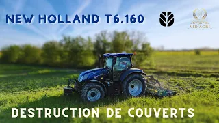 Destruction de couverts végétaux - New Holland T6.160 AC BluePower - Sulky - Avril 2024 - Bretagne