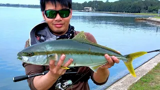 CRAZY! HUGE Snag But Kingfish Landed On Bream Gear  - Parramatta River