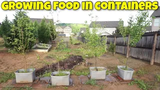 GROWING FRUIT TREES IN CONTAINERS | HOW TO CREATE AN ORCHARD IN SMALL SPACES | TIPS AND TRICKS