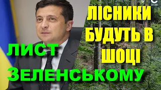 The president will allow Ukrainians to collect firewood in the forest without any permission