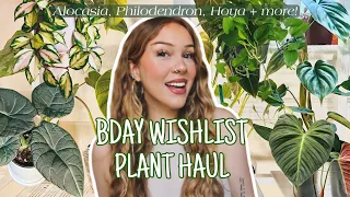 Huge Bday Plant Haul 🌿 Alocasia, Hoya, Philodendron, + more!