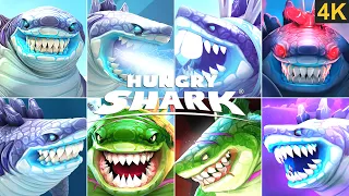 SHARKJIRA ALL TRAILER & MOVIE THROUGH THE YEARS!!! (2010 - 2022) HUNGRY SHARK EVOLUTION 4K