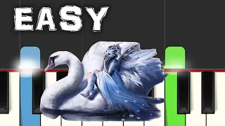Tchaikovsky - Swan Lake Theme - EASY Piano
