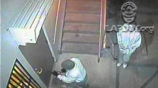 Commercial Burglary in West Los Angeles