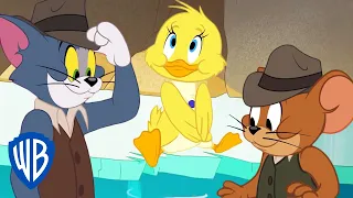 Tom & Jerry | Duck Sitters 🐥 | WB Kids