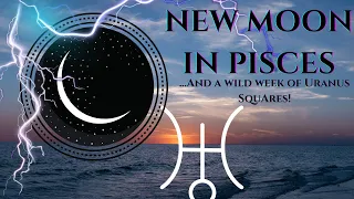 WILD ENERGIES RIGHT NOW!!! UPCOMING NEW MOON IN PISCES