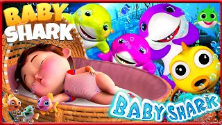 Baby Shark Taking Care Baby🦈, Wheels on the Bus, Happy Birthday #babyshark , Finger Family Song