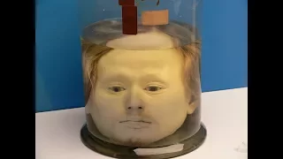 Preserved Human Head in a Jar of Portugal's First Serial Killer