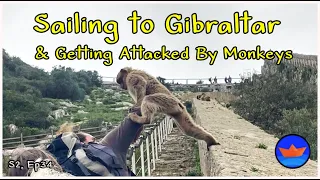 Sailing to Gibraltar & Getting Attacked By Monkeys | Series 2 Episode 34 | Ep 101