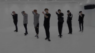 [0.5 mirrored] BTS - Blood, Sweat & Tears Dance Practice chorus