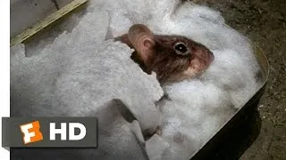 Mousehunt (2/10) Movie CLIP - Sleeping Mouse (1997) HD