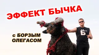 Что такое "Эффект Бычка"?  Симпозиум с Борзым Олегасом