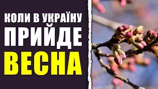 Синоптик розказала, чи будуть ще в лютому морози та коли прийде весна