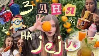 КОРЕЙСКИЕ ГАВАЙИ 🌴🍊 | влог из мандаринового острова