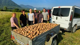 🥔🥔Збираємо картоплю.Збір цьогорічного урожаю.Наша сім'я дружня, працьовита🥔🥔