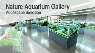 [ADAview] Nature Aquarium Gallery Aquascape Selection ネイチャーアクアリウムギャラリー 水景セレクション