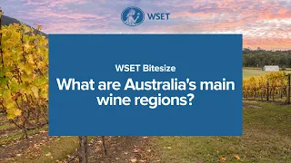 WSET Bitesize - What are Australia's main wine regions?