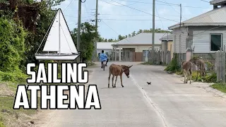 Sail Life - Barbuda, 7 years after total devastation by hurricane Irma