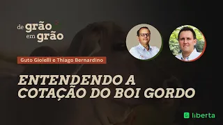 Entendendo a cotação do Boi Gordo 🐂