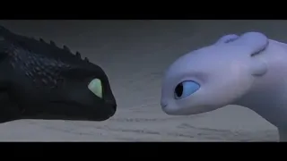 Light Fury & Toothless {AMV} In the name of Love