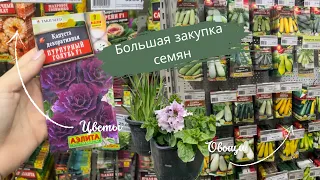 Большая закупка семян | Цветы и овощи | Планы посева на сезон 2024 года