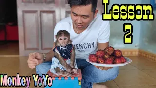 Lesson 2 Of YoYo JR| Monkey Baby YoYo