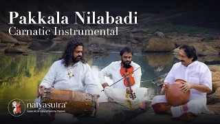 Pakkala Nilabadi, Carnatic Instrumental | Jayadevan, Patri Sathish Kumar, Tripunithura Radhakrishnan