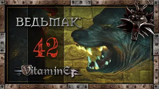 Ведьмак 1 - The Witcher прохождение - Глава 3 - Оборотень #42