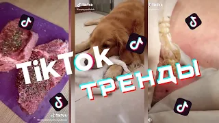 ЛУЧШИЕ ПРИКОЛЫ В TikTok 2020 #37