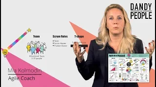 Ways of Working Agile - Agile in a Nutshell Video