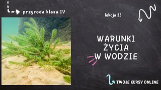 Przyroda klasa 4 [Lekcja 33 - Warunki życia w wodzie]