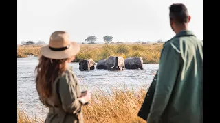 Discover Botswana - A Wildlife Haven