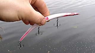 Копии bent minnow на мелководье