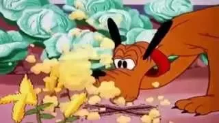 Donald Duck & Chip and dale! Donald Duck Cartoons Full Episodes Full HD New Compilation-Дональд Дак