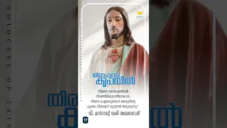 Day 17 തിരുഹൃദയ കൃപയിൽ