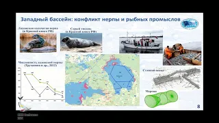 Бизиков В. "Морские млекопитающие и рыбные промыслы в морях России" (eng translation)