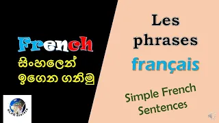 Simple French Sentences || Useful French Phrases ||