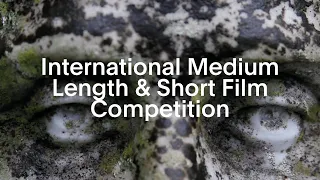 VDR2021| International Medium Length & Short Film Competition (Short Film Selection)