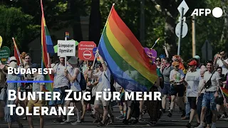 Queer in Ungarn: Bunter Zug für mehr Toleranz in Budapest | AFP