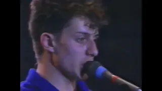 Liaisons Dangereuses - Los Niños Del Parque (Live In Munich, 1982)