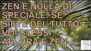 La mente ordinaria è Zen