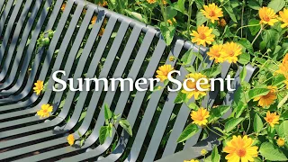 [Piano] A nice piano piece to listen to while smelling the summer scent l GRASS COTTON+